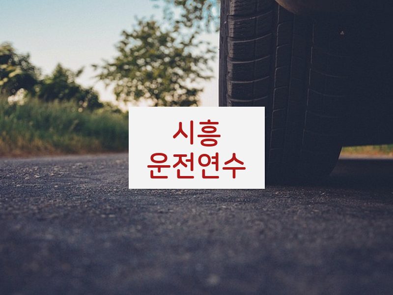 시흥운전연수 후기