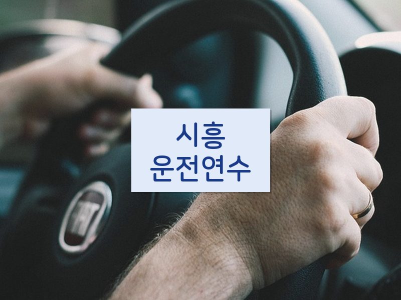 시흥운전연수 후기