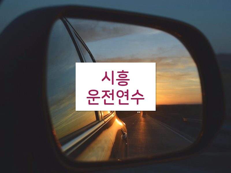 시흥운전연수 후기