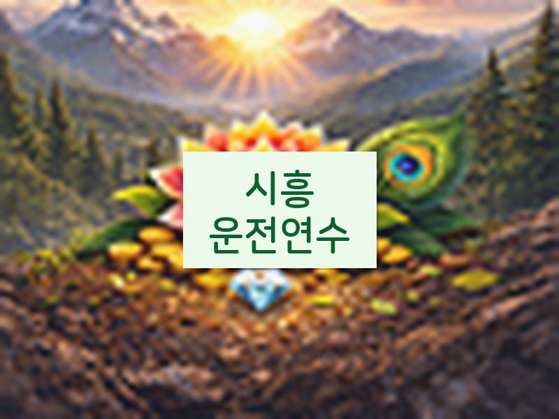 시흥운전연수 후기
