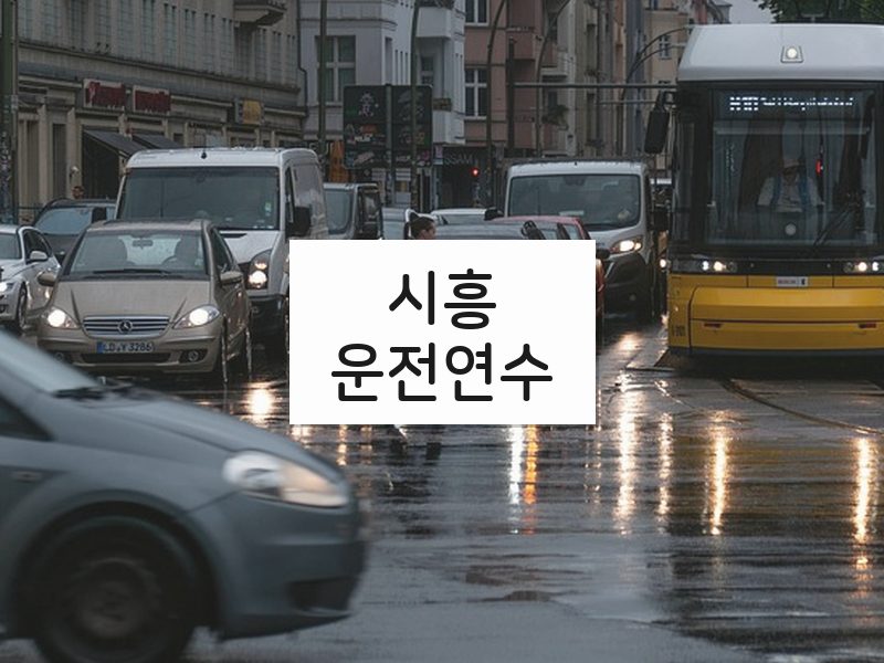 시흥운전연수 후기