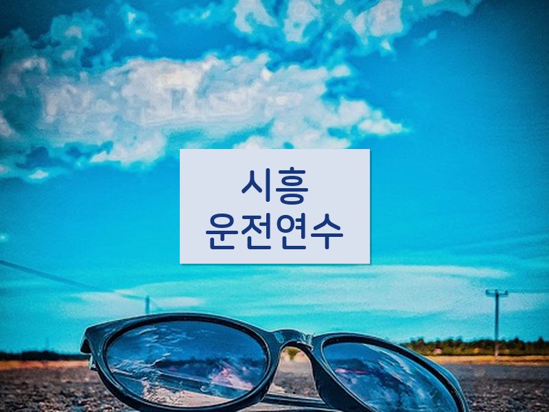 시흥운전연수 후기