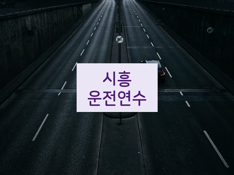 시흥운전연수 후기