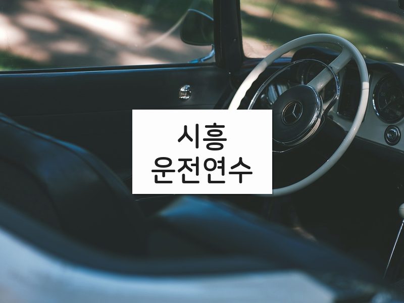 시흥운전연수 후기