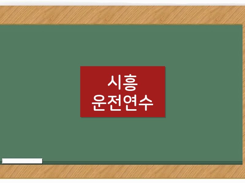 시흥운전연수 후기