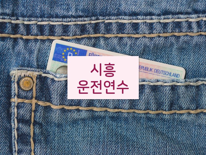 시흥운전연수 후기