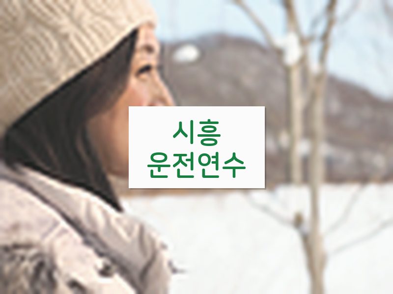 시흥운전연수 후기