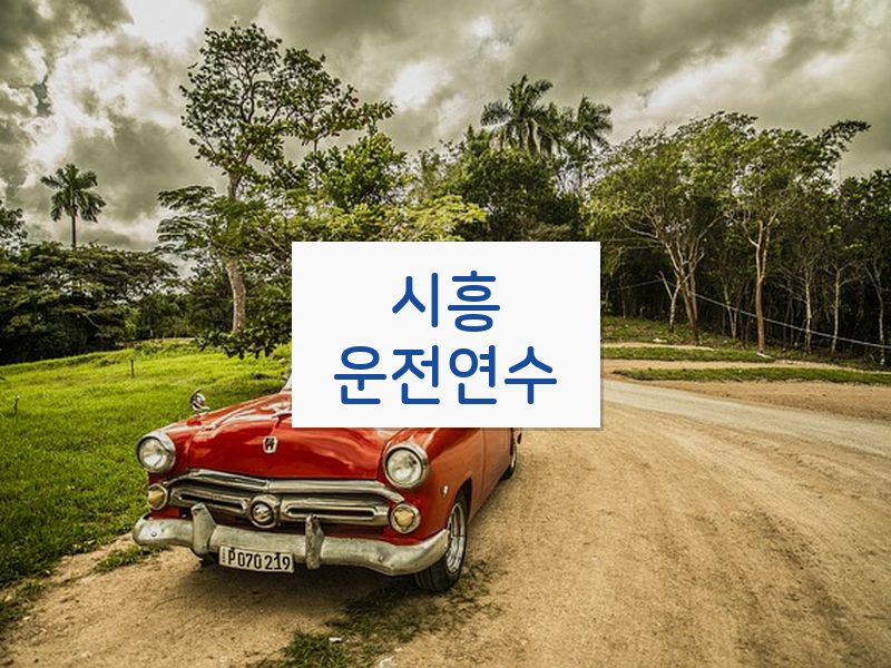시흥운전연수 후기