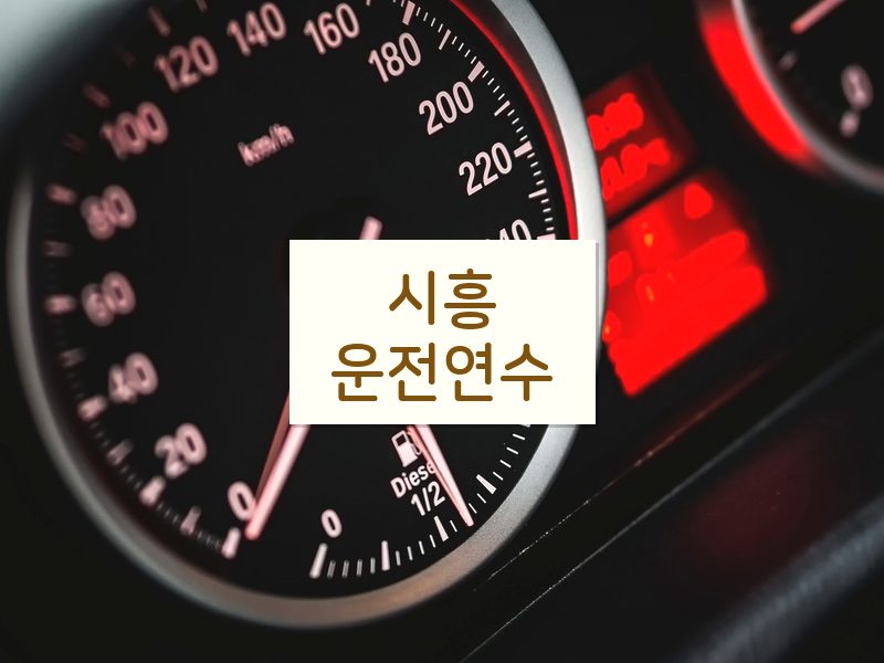 시흥운전연수 후기
