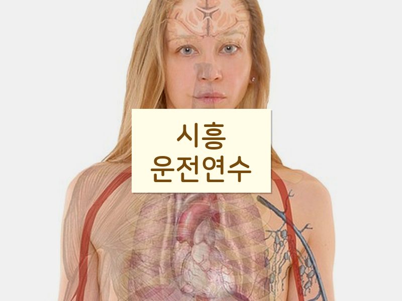 시흥운전연수 후기