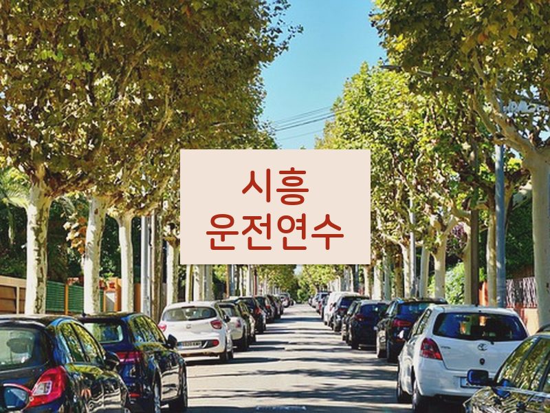 시흥운전연수 후기