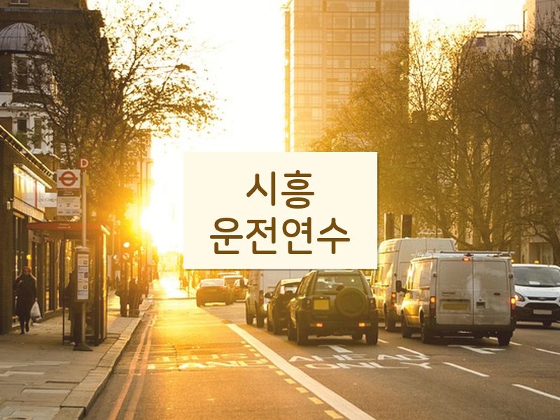 시흥운전연수 후기