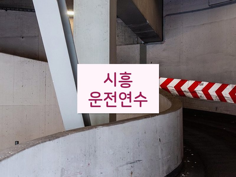시흥운전연수 후기