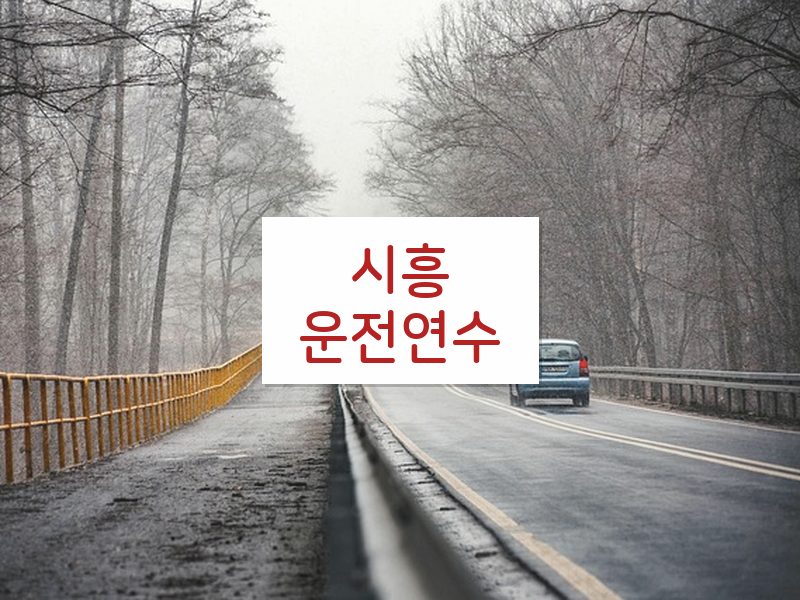 시흥운전연수 후기