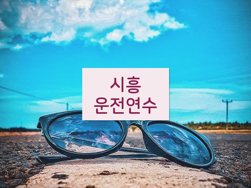 시흥운전연수 후기