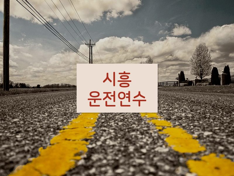 시흥운전연수 후기