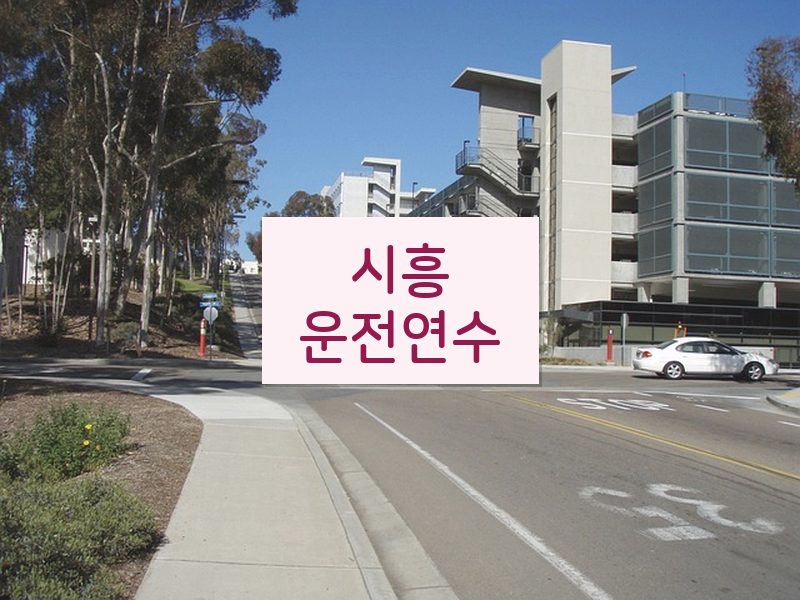 시흥운전연수 후기