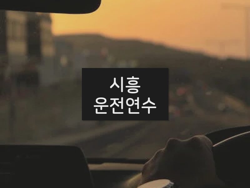 시흥운전연수 후기
