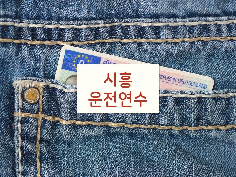 시흥운전연수 후기