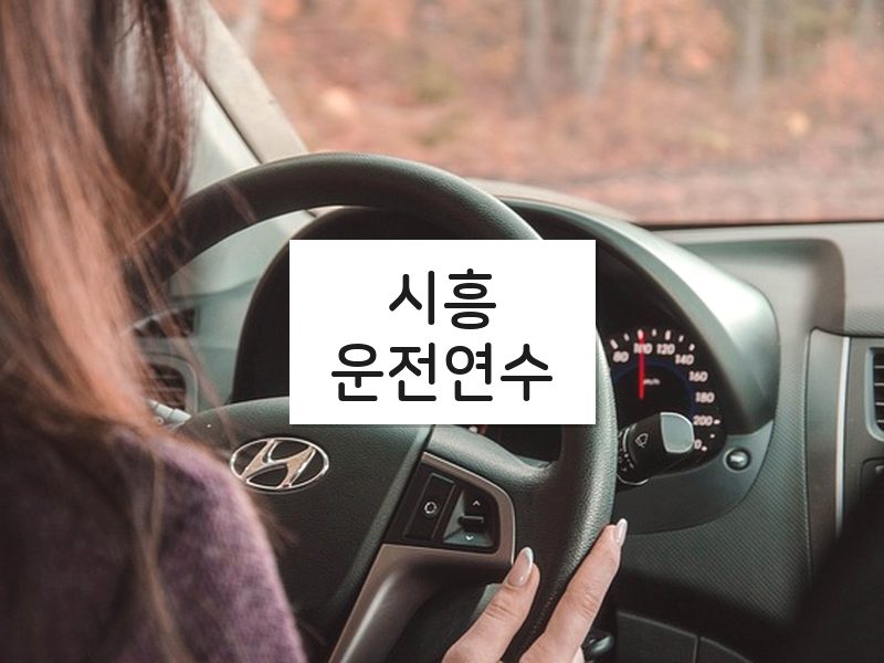 시흥운전연수 후기