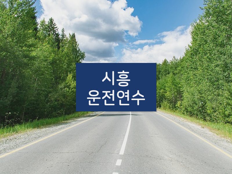 시흥운전연수 후기