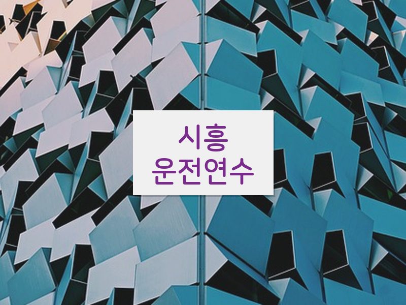 시흥운전연수 후기
