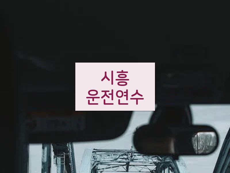 시흥운전연수 후기