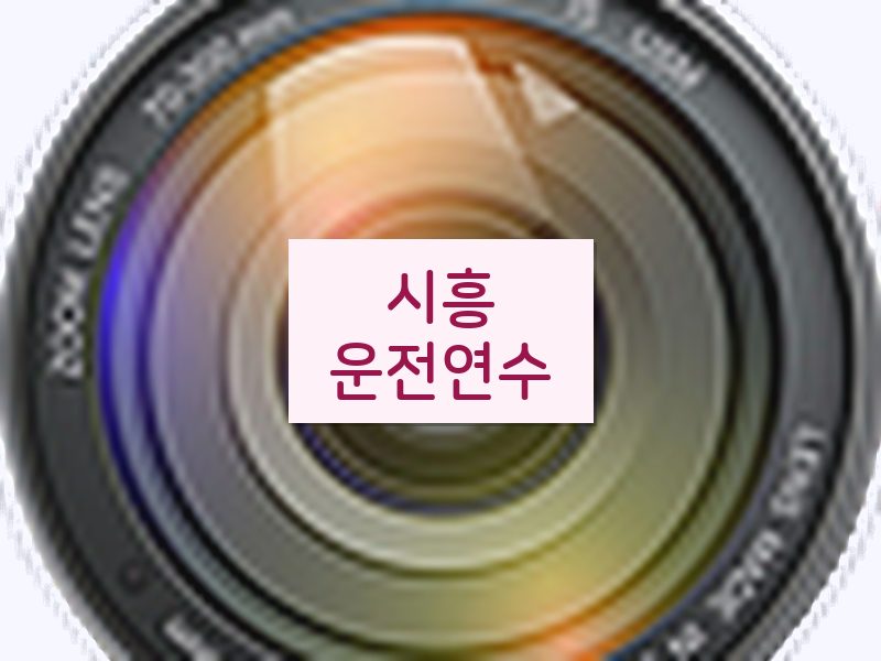 시흥운전연수 후기