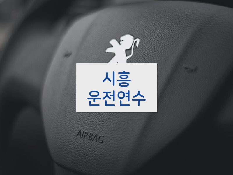 시흥운전연수 후기
