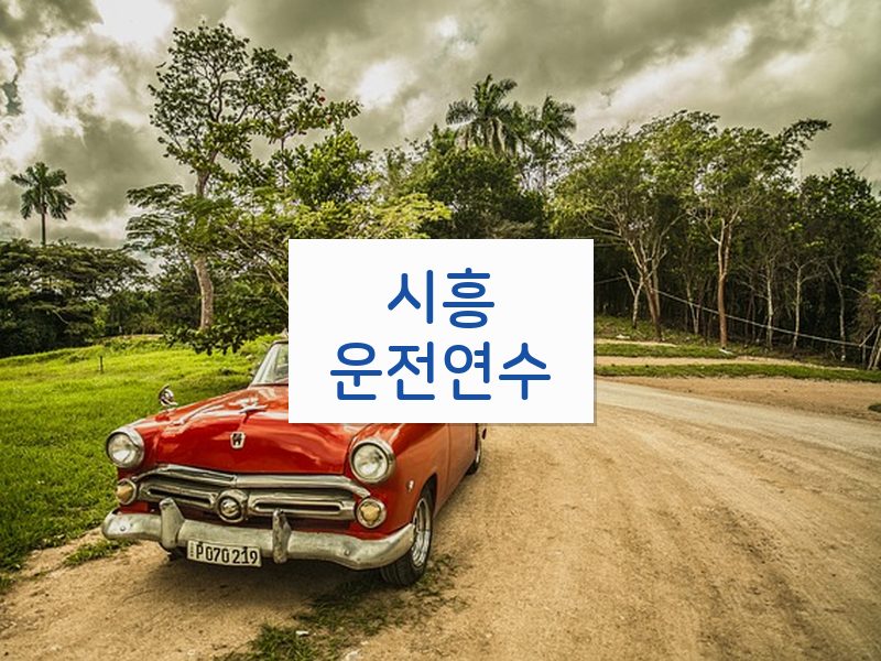 시흥운전연수 후기