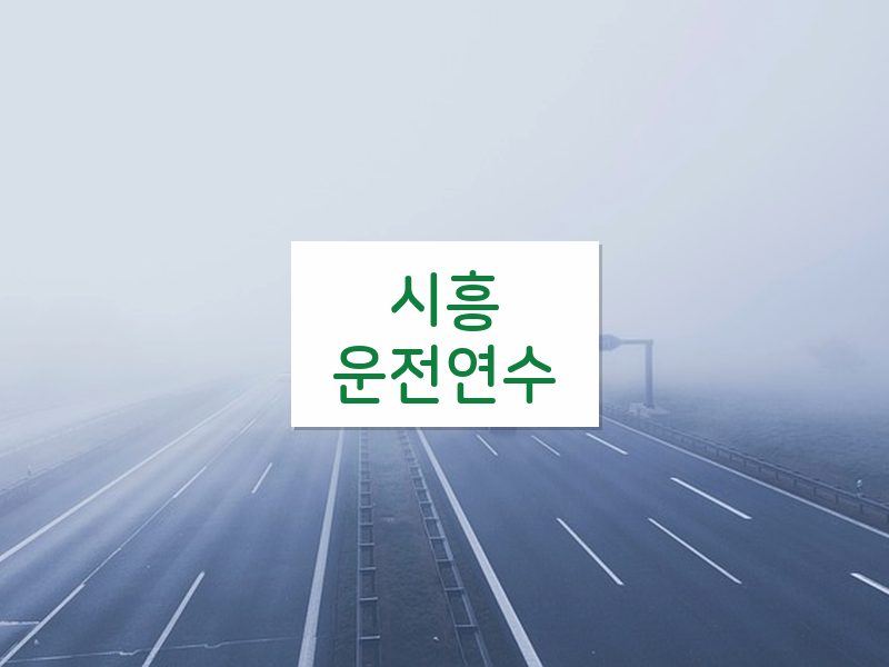 시흥운전연수 후기