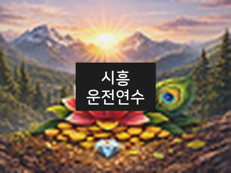 시흥운전연수 후기