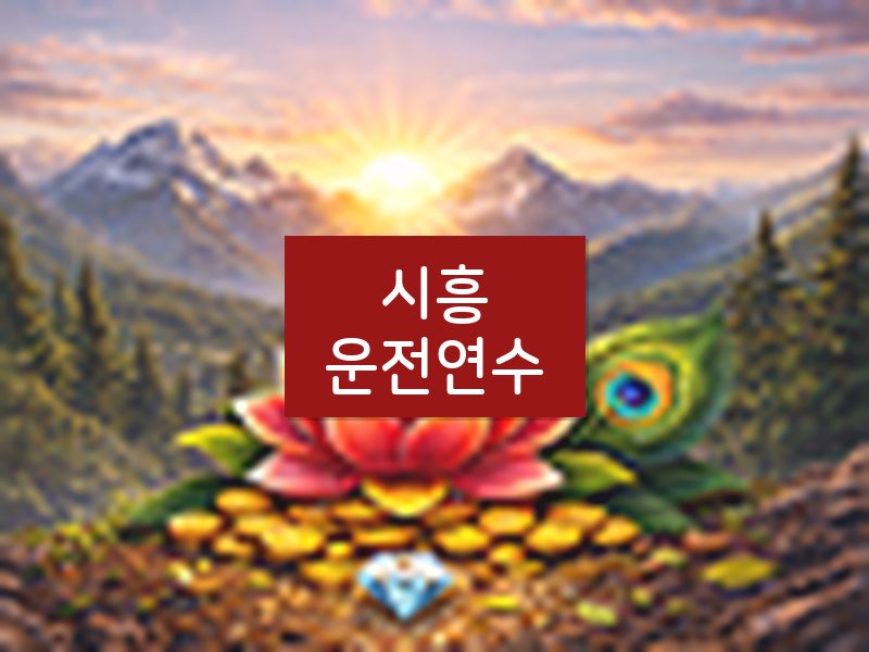 시흥운전연수 후기