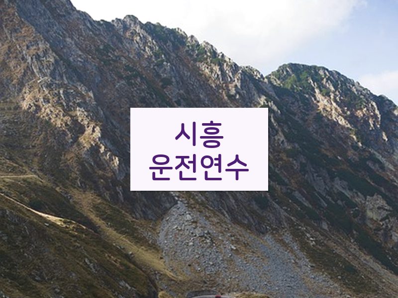 시흥운전연수 후기