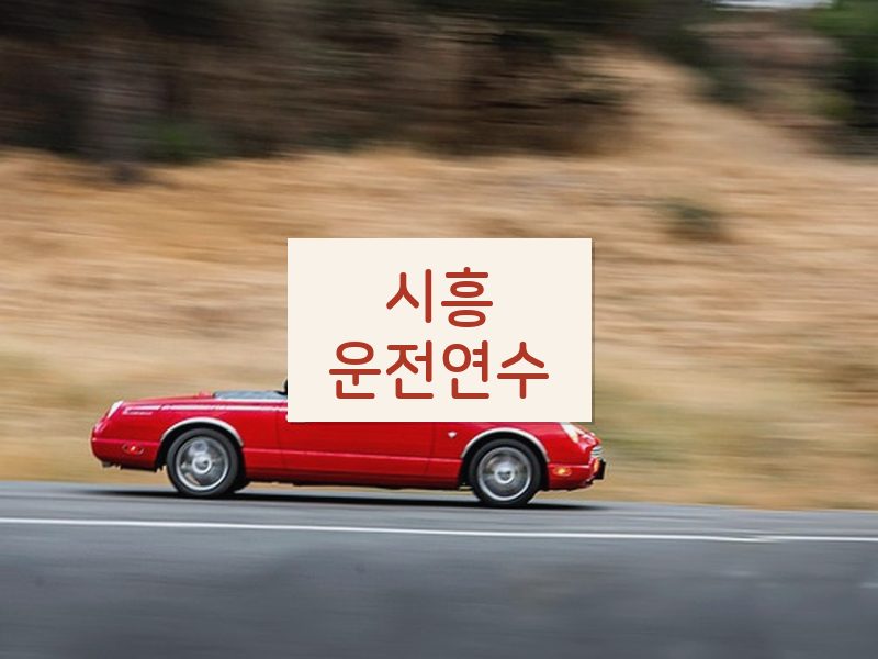 시흥운전연수 후기