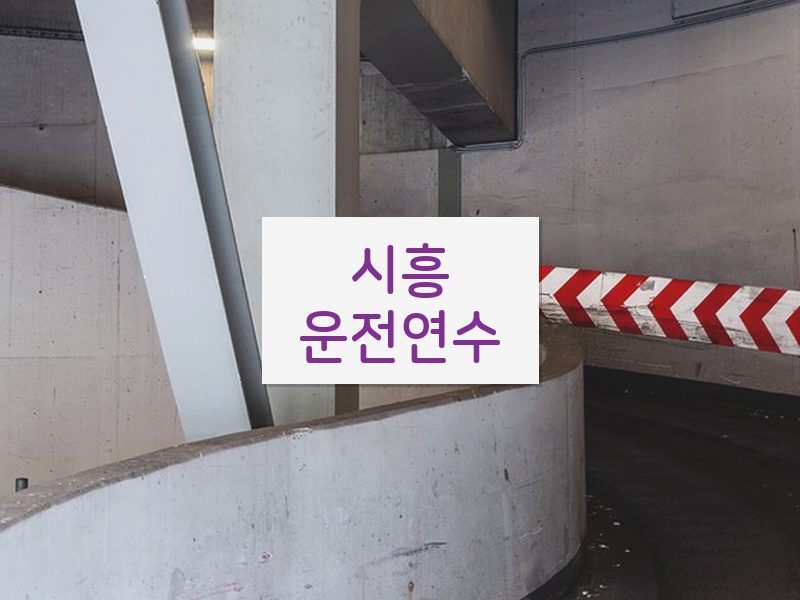 시흥운전연수 후기