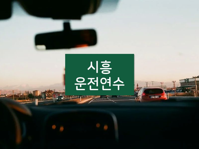 시흥운전연수 후기