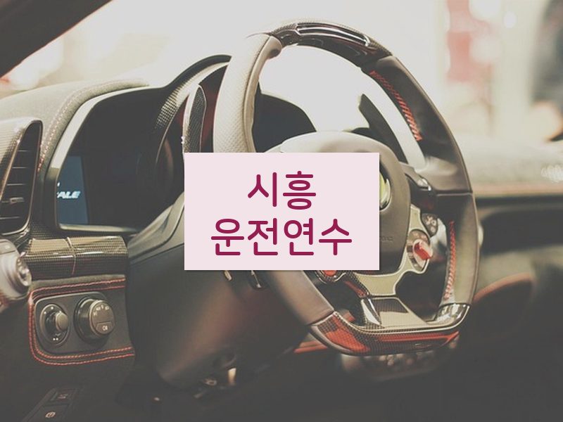 시흥운전연수 후기
