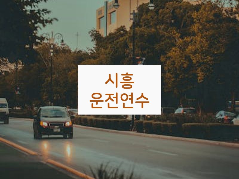 시흥운전연수 후기