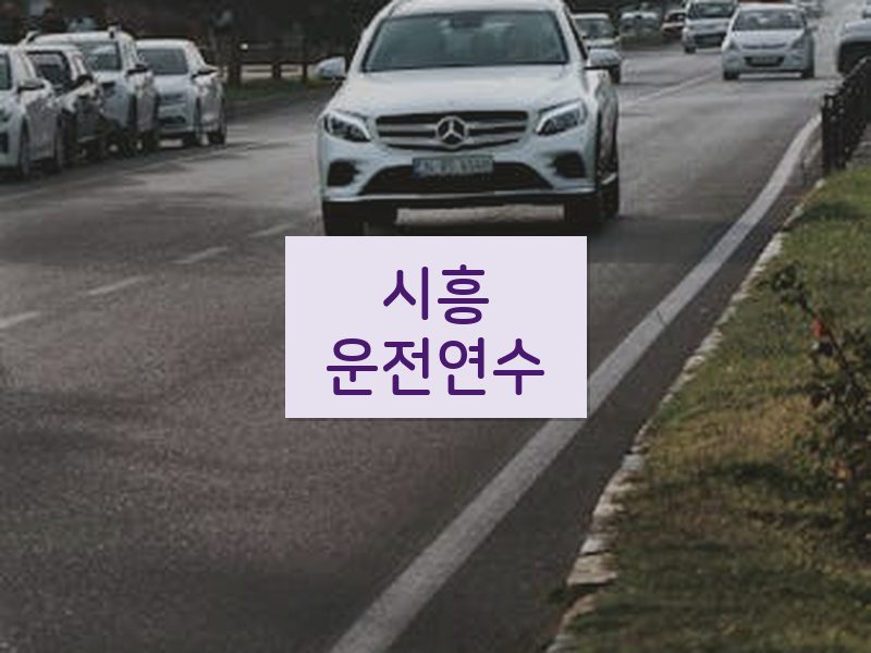 시흥운전연수 후기