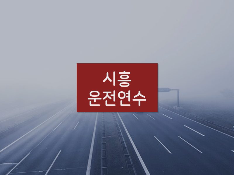 시흥운전연수 후기