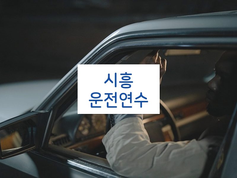 시흥운전연수 후기
