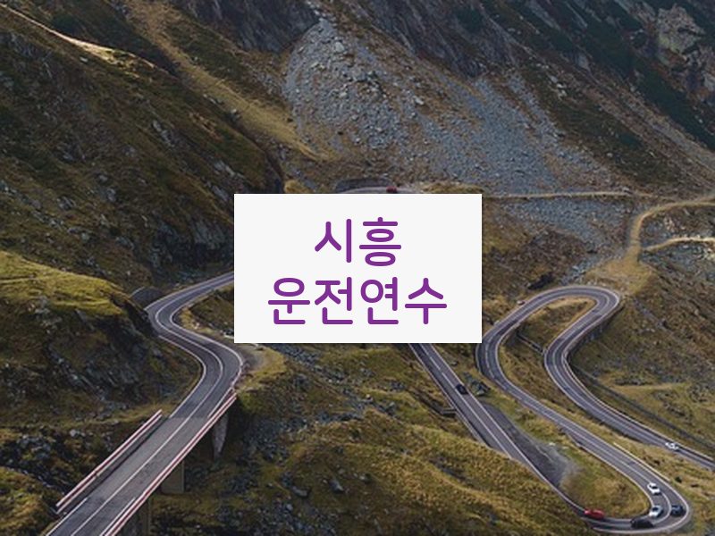 시흥운전연수 후기
