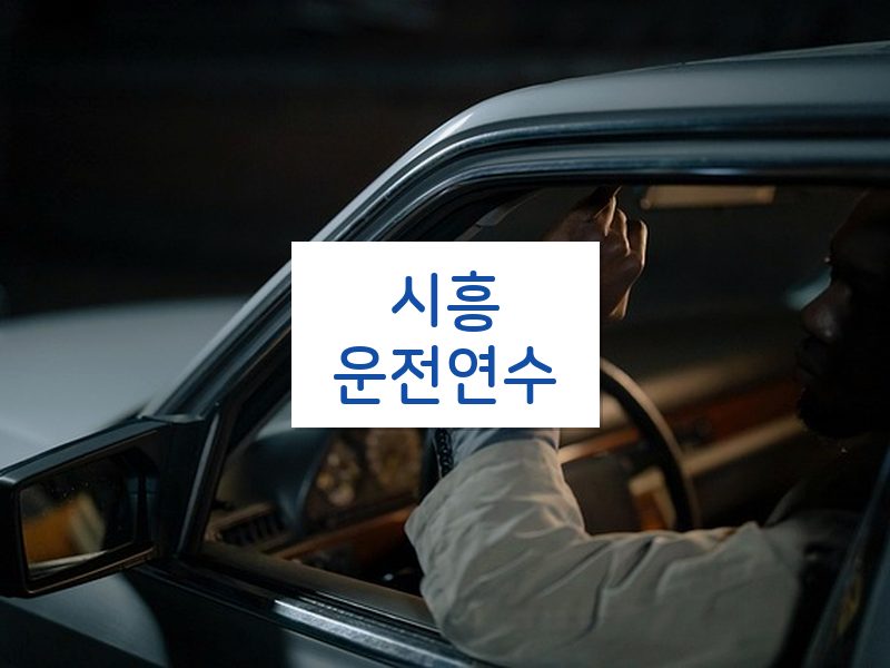 시흥운전연수 후기