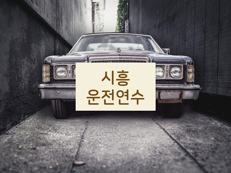 시흥운전연수 후기