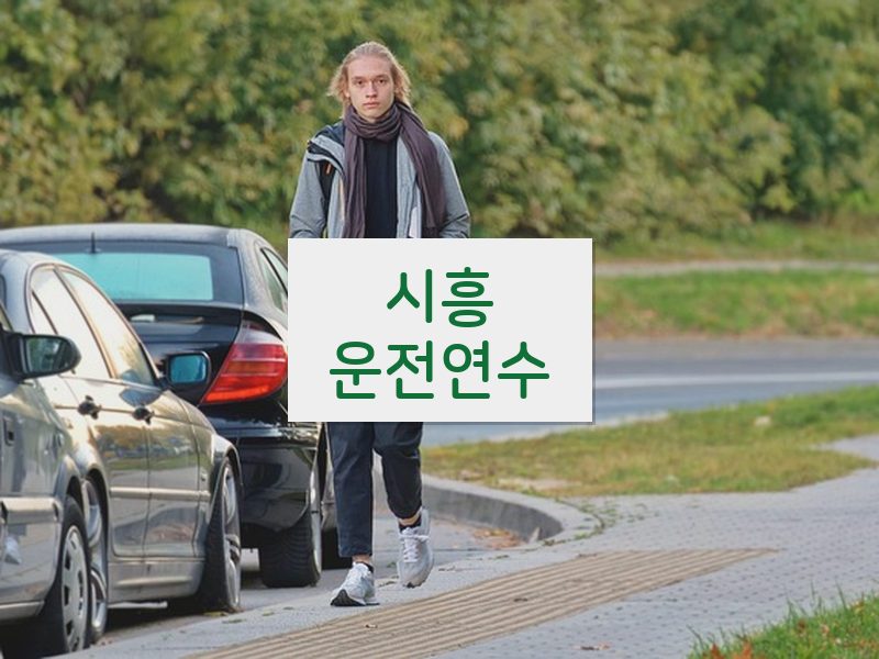 시흥운전연수 후기