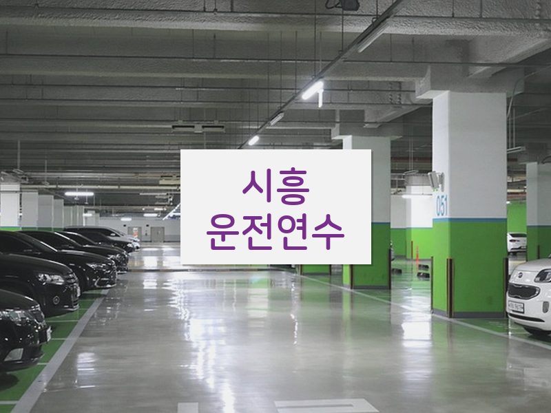 시흥운전연수 후기