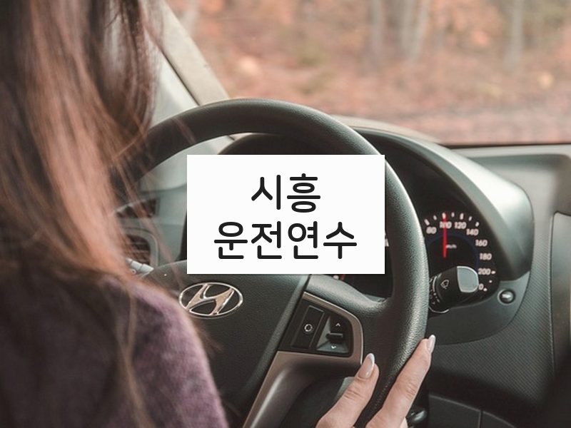 시흥운전연수 후기