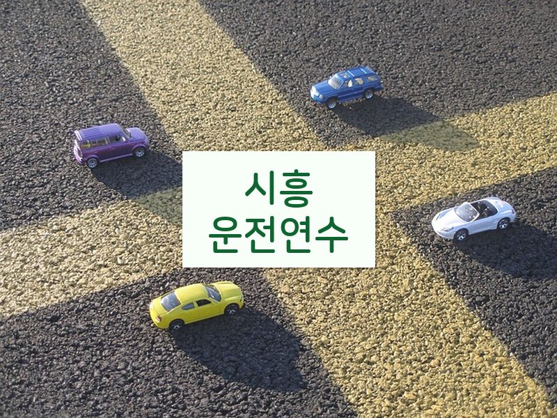 시흥운전연수 후기