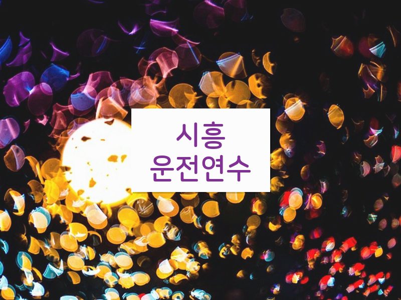 시흥운전연수 후기